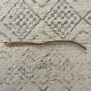 Louis Vuitton Neverfull Pochette Strap